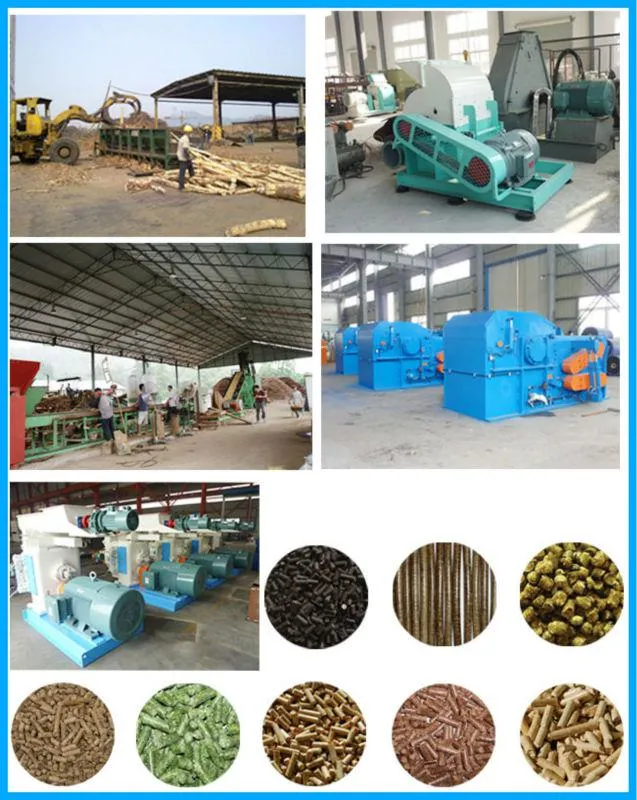 Manufacturer Direct 15t/H Ring Die Wood Pellet Making Machine Price